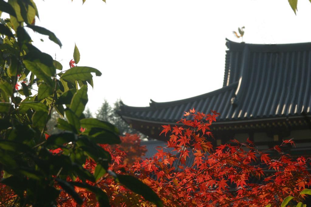 Auberge de jeunesse Travellersdou Kirinya à Uji Extérieur photo